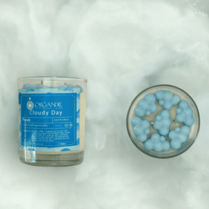 Cloudy Day By Organdle