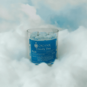 Cloudy Day By Organdle