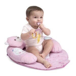 Chicco Toy Fd My First Nest Pink