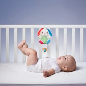 Chicco First Love Music Box Fluffy the Rabbit