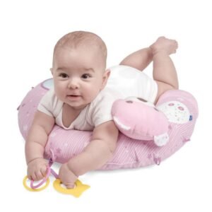Chicco Toy Fd My First Nest Pink