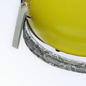 Stylish Yellow Capsule Pet Carrier