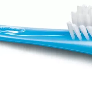 Avent Bottle and nipple brush Blue