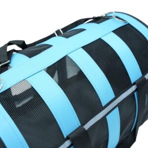 Blue Mesh Pet Carrier Bag