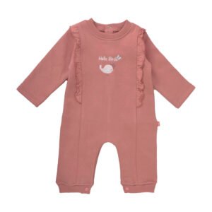 Junior Hello Birde Printed Bodysuit (3-6 m)