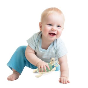 Babyjem Soft Baby Turtle Rattle Toy / Mint