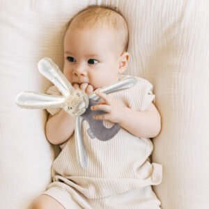 Babyjem Plush Mini Rabbit / Stone