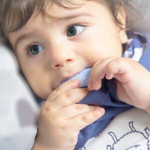 Babyjem Poplin Neck Scarf Bib With Teether / Indigo / Fish