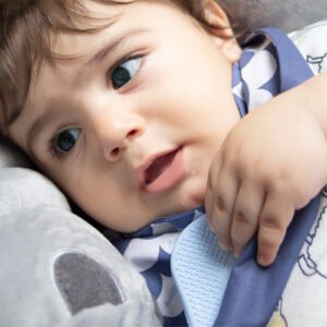 Babyjem Poplin Neck Scarf Bib With Teether / Indigo / Fish