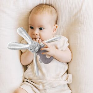 Babyjem Plush Mini Rabbit / Grey