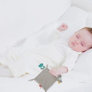 Babyjem 858 Sleeping Bird With Teether Brown