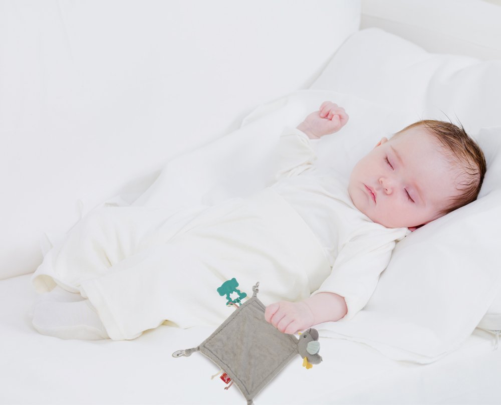 Babyjem 858 Sleeping Bird With Teether Brown - Image 2