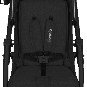 Lionelo Annet Plus Black Carbon - stroller