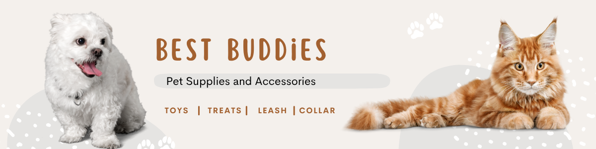 Best Buddies