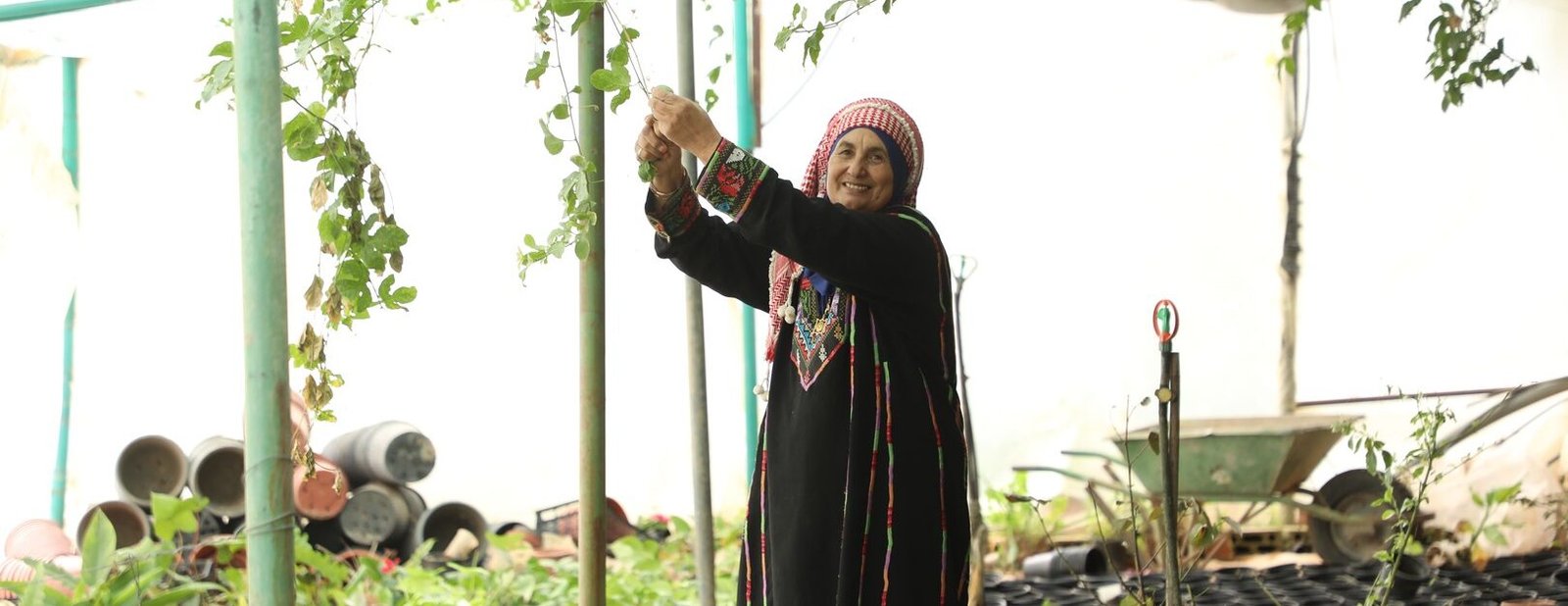 Myasar Al-Hyari