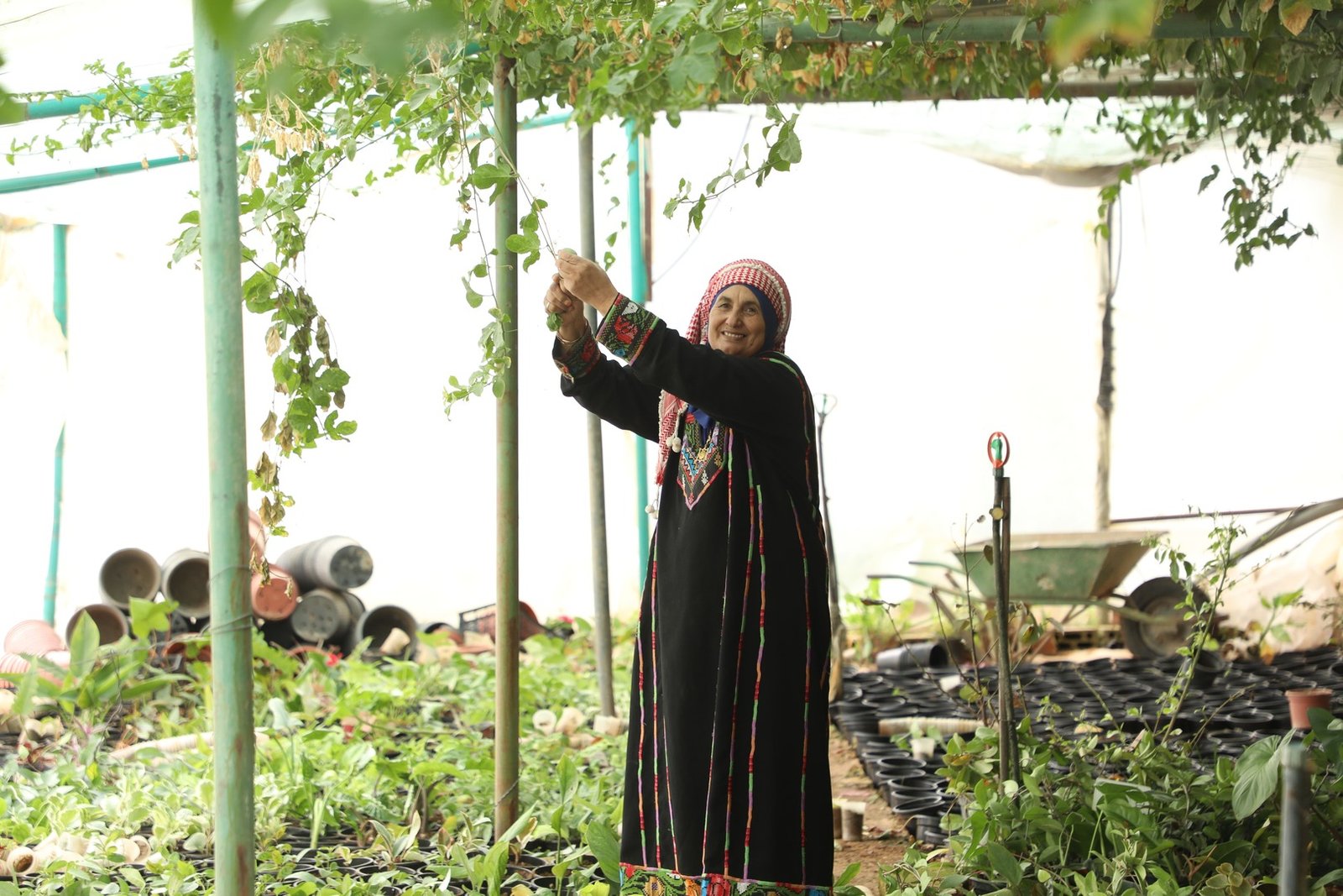 تجربة غداء تراثي أصيل - Image 6