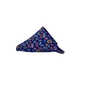 Bowties & Pocket Squares- PSQ006