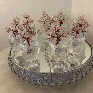 شجر مكتبي صغير