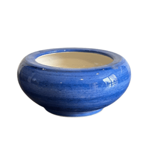 Bowl | وعاء