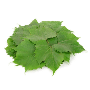 Vine Leaves - ورق دوالي