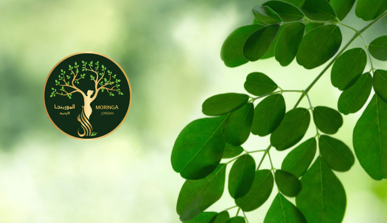 Moringa Jordan