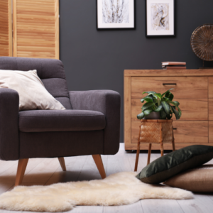 Home Furniture