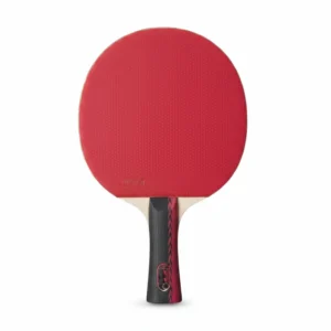 Butterfly Ping Pong
