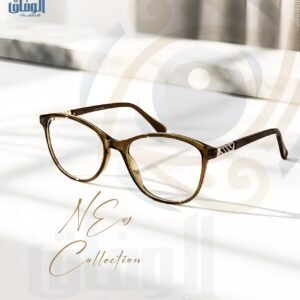 Sunglass Frame 02