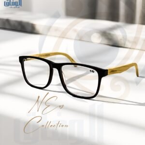 Sunglass Frame 03