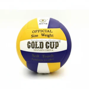 Gold Cup Volleyball