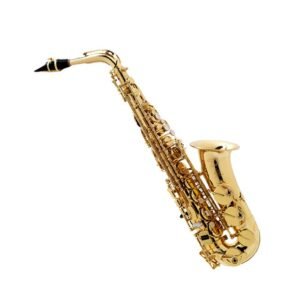 Selmer Saxophone - ساكسوفون سيلمر