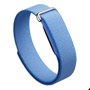 Google Fitbit Air